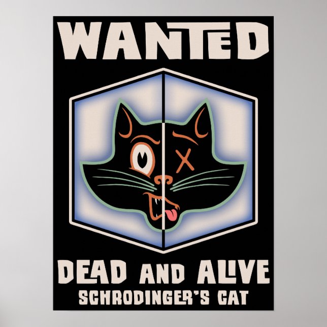 Pôster O Gato de Schrodinger foi procurado (Frente)