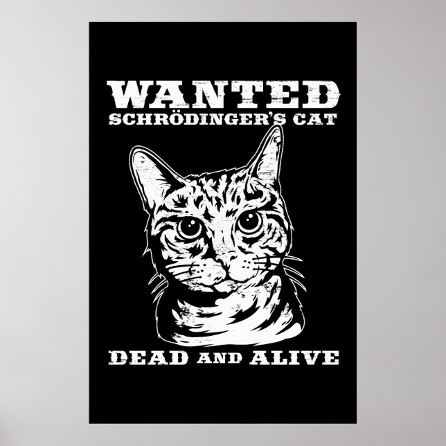Poster O gato de Schrodinger queria morto ou vivo (Frente)