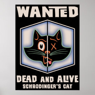 Pôster O gato de Schrodinger querido