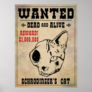 Pôster O gato de Schrodinger quis II