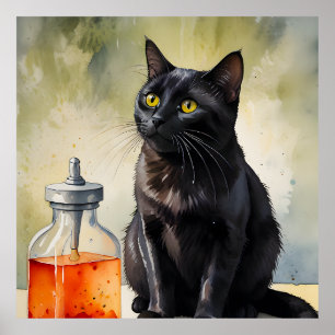 Poster O Gato do Alquimista