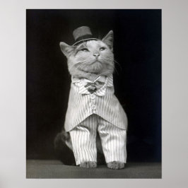 Pôster O Gato Elegante, 1906. Foto Antiga