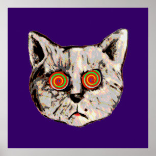 Poster o gato louco engraçado