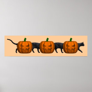 Pôster O gato o mais longo do mundo