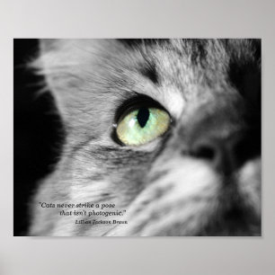 Poster O gato Photogenic