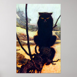 Poster O gato preto