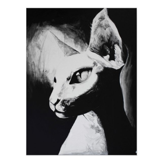 Pôster O Gato Sphynx Feline Black & White Arte Original (Frente)