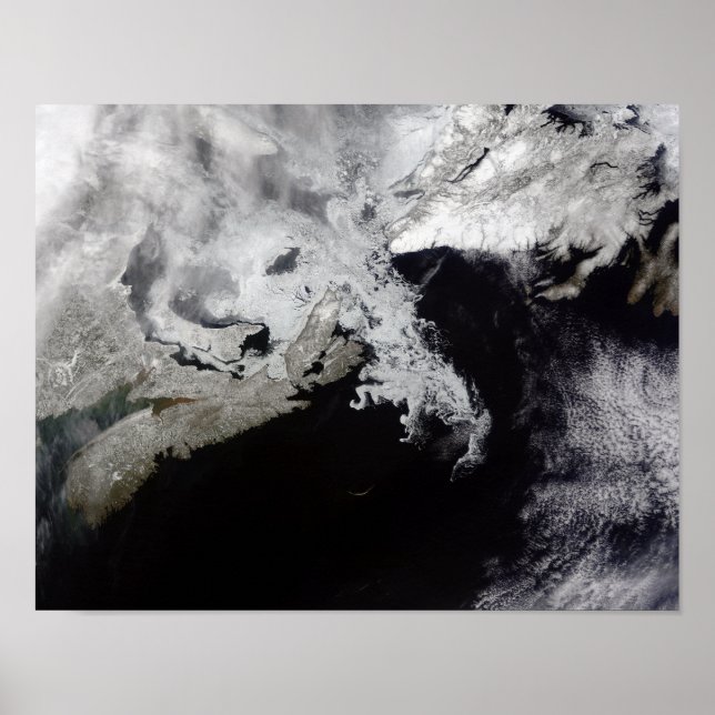 Pôster O gelo marinho enche o Golfo de Rua Lawrence (Frente)