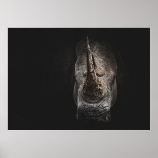 POSTER O GIGANTE EM PERIGO