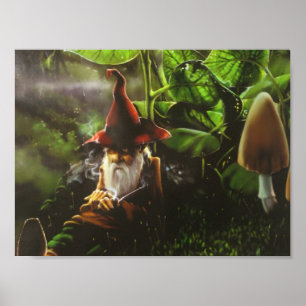Poster o gnomo