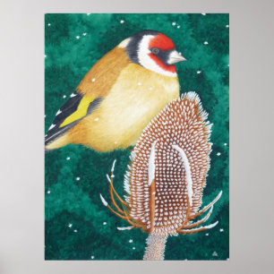 Poster O Goldfinch europeu