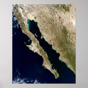 Pôster O Golfo da Califórnia