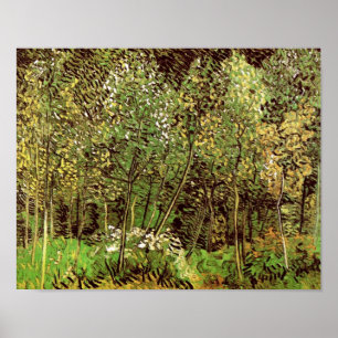 Pôster O Grove (F817) Van Gogh Belas Artes