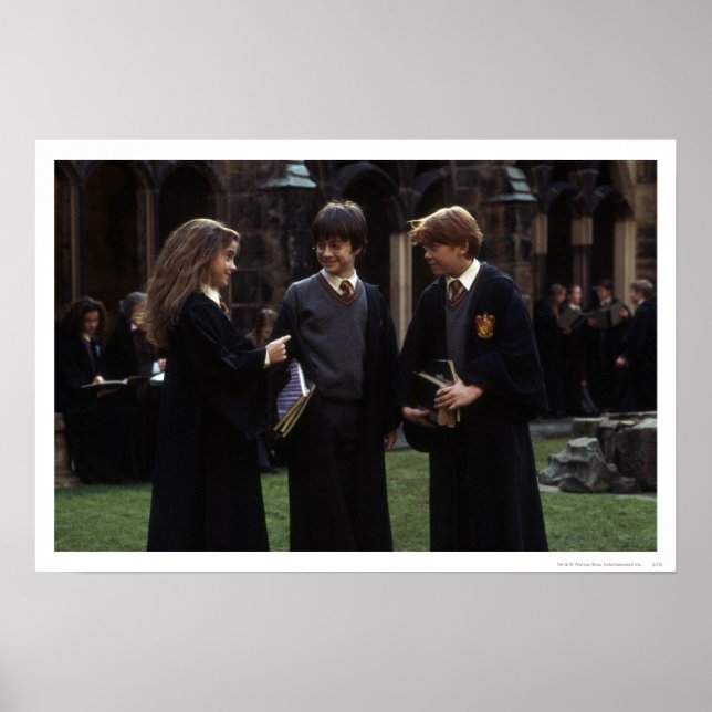 Poster O grupo fora de Hogwarts (Frente)