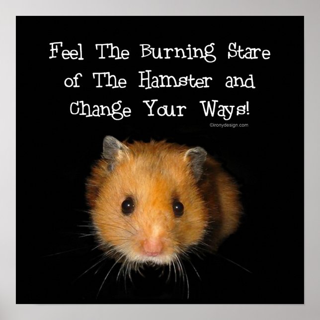 Pôster O Hamster (Frente)