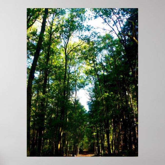 Pôster O Hetero e o estreito (Frente)