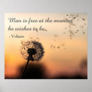 Poster O Homem é a citação gratuita do Voltaire