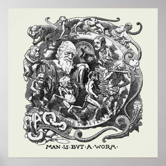 Pôster O Homem É Apenas Um Verme (Frente)