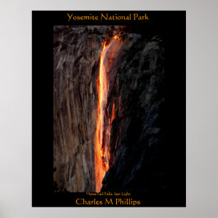 Pôster O HorseTail cai última luz