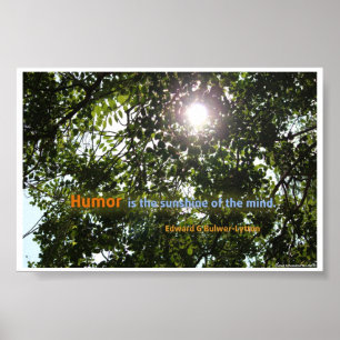Poster O "humor é a luz do sol cotação da mente"