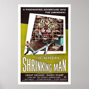 Poster O Incrível Homem Encolhedor