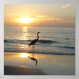 Pôster O indiano balança o guindaste do por do sol de