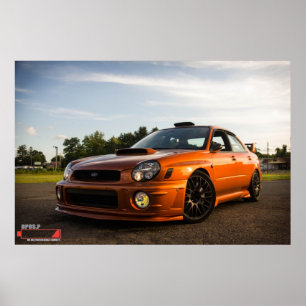 Pôster O inseto atômico