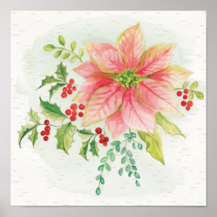 Poster O inverno floresce poinsétia de florescência