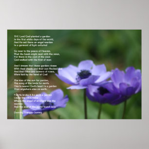 Poster O jardim do deus