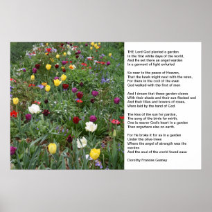 Poster O jardim do deus