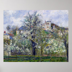 Poster O jardim vegetal com as árvores na flor