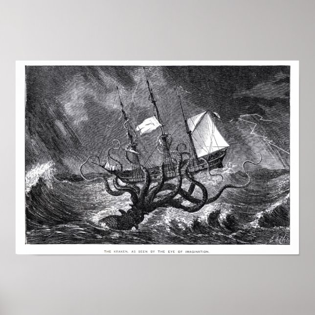 Pôster O Kraken (Frente)