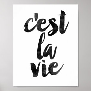 Pôster O La de C'est Vie