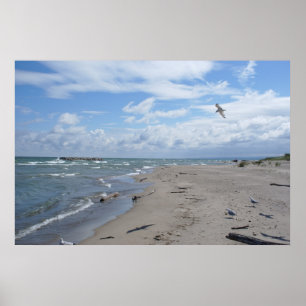 Poster O Lago Erie da ilha de Presque