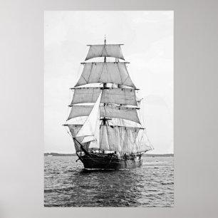 Pôster O latido Robert Ewing