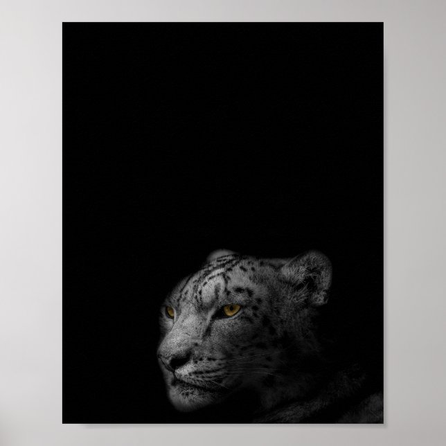 Poster O Leopardo, a fotografia moderna a preto e branco (Frente)