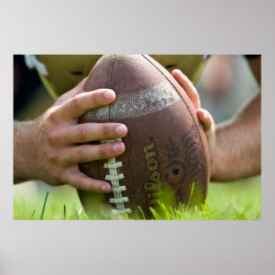 Poster O Longsnapper