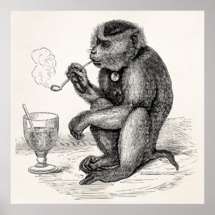 Pôster O macaco do vintage que fuma uma tubulação Monke