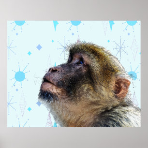 Poster O Macaco Vê O Papel De Carteira Moderno Do Meio sé