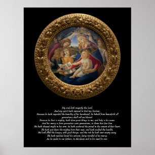 Poster O Magnífico