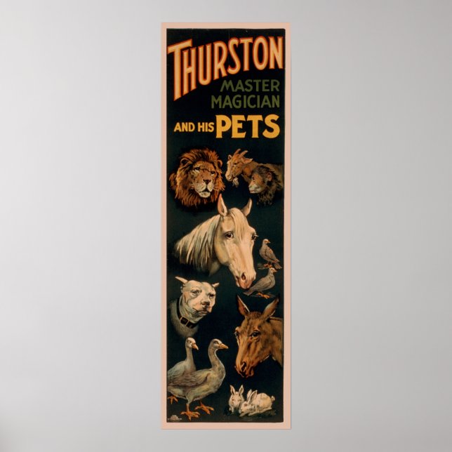 Poster O mago mestre Thurston e seus animais de estimação (Frente)