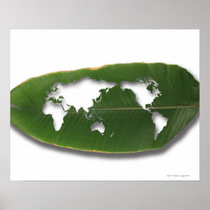 Poster O mapa do mundo sem-fim-comido da folha