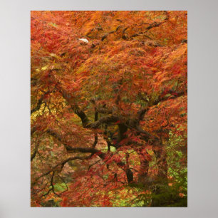 Poster O mapa japonês na cor do outono