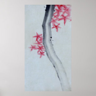 Poster O Maple