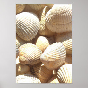 Poster O mar descasca a fotografia da coleção