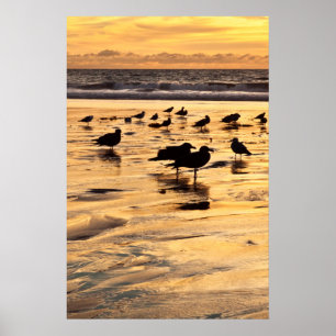 Poster O Mar Gola Na Praia Ao Sunset