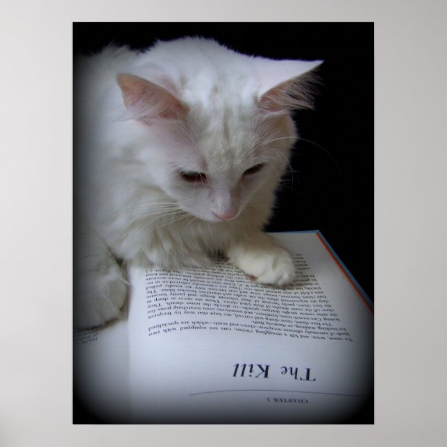 PÔSTER O MATAR (Frente)