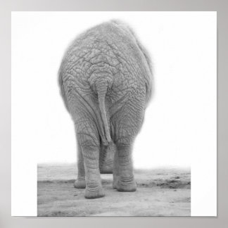 Poster O meu rabo parece grande