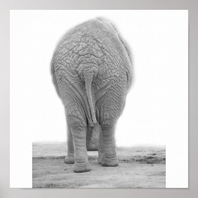 Poster O meu rabo parece grande (Frente)