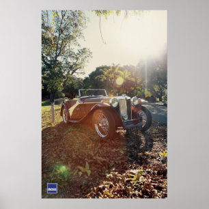 Poster O MGTC dos musgos do Al